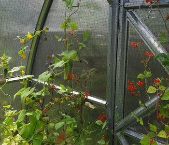 I really like this greenhouse...many of my visitors look at it and sure like it