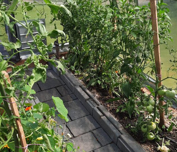 I really like this greenhouse...many of my visitors look at it and sure like it