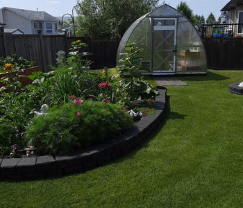 I really like this greenhouse...many of my visitors look at it and sure like it