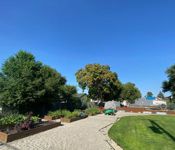 Growing Fresh Food Year-Round for the Spokane Community