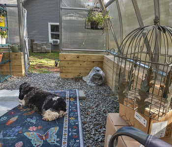 A Relaxing Backyard Greenhouse Filled with Flowers