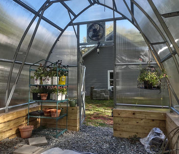 A Relaxing Backyard Greenhouse Filled with Flowers