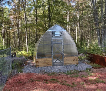A Relaxing Backyard Greenhouse Filled with Flowers