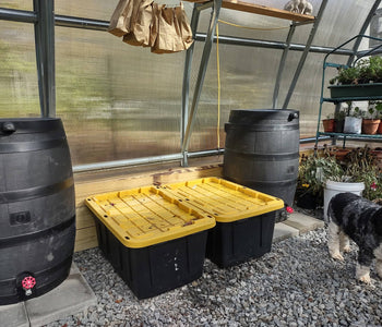 A Relaxing Backyard Greenhouse Filled with Flowers