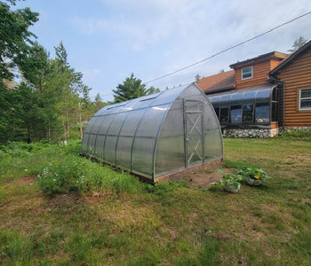 Fresh Tomatoes Into Winter in Michigan’s Upper Peninsula