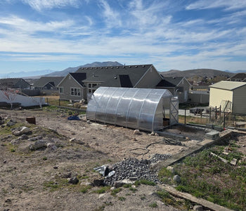 Growing Citrus, Figs, and Melons Beyond Utah’s Growing Zone