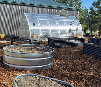From Ordinary Gardening to Extraordinary Harvests with the Sungrow 20