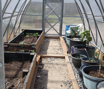 Growing Citrus, Figs, and Melons Beyond Utah’s Growing Zone