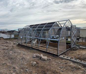 Growing Citrus, Figs, and Melons Beyond Utah’s Growing Zone