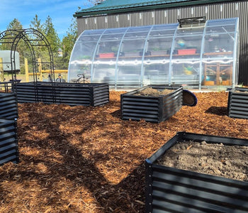 From Ordinary Gardening to Extraordinary Harvests with the Sungrow 20