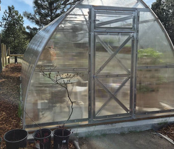 From Ordinary Gardening to Extraordinary Harvests with the Sungrow 20