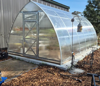 From Ordinary Gardening to Extraordinary Harvests with the Sungrow 20