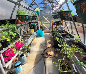 From Ordinary Gardening to Extraordinary Harvests with the Sungrow 20