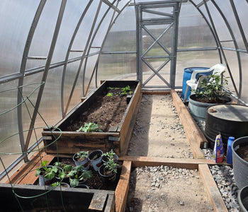 Growing Citrus, Figs, and Melons Beyond Utah’s Growing Zone