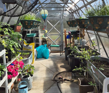From Ordinary Gardening to Extraordinary Harvests with the Sungrow 20