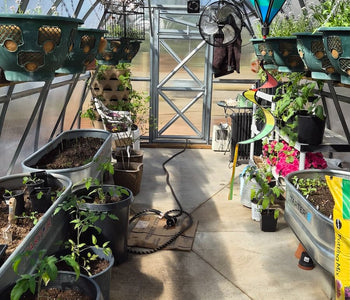 From Ordinary Gardening to Extraordinary Harvests with the Sungrow 20