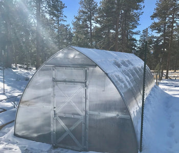 The humidity it makes... at 9,000 feet in central Colorado