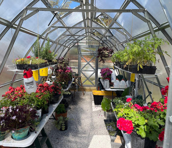 Growing Seedlings All Winter with the Sungrow 20 Greenhouse