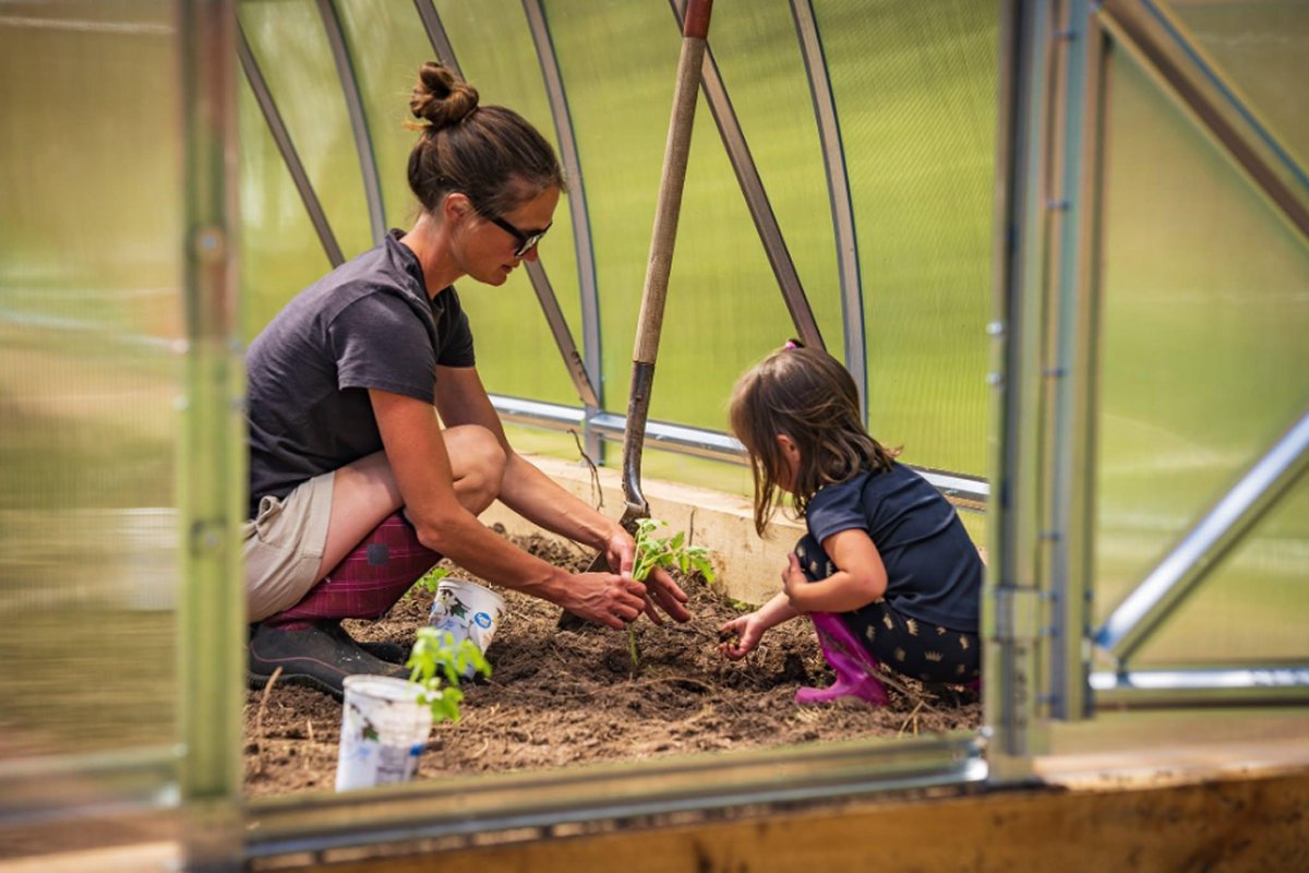 Sowing seedlings inside a greenhouse in early spring