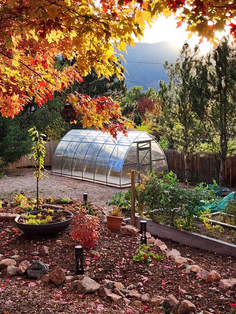 Greenhouse standing in a fall garden