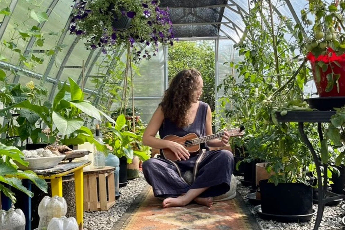 A greenhouse full of plants in use out of season