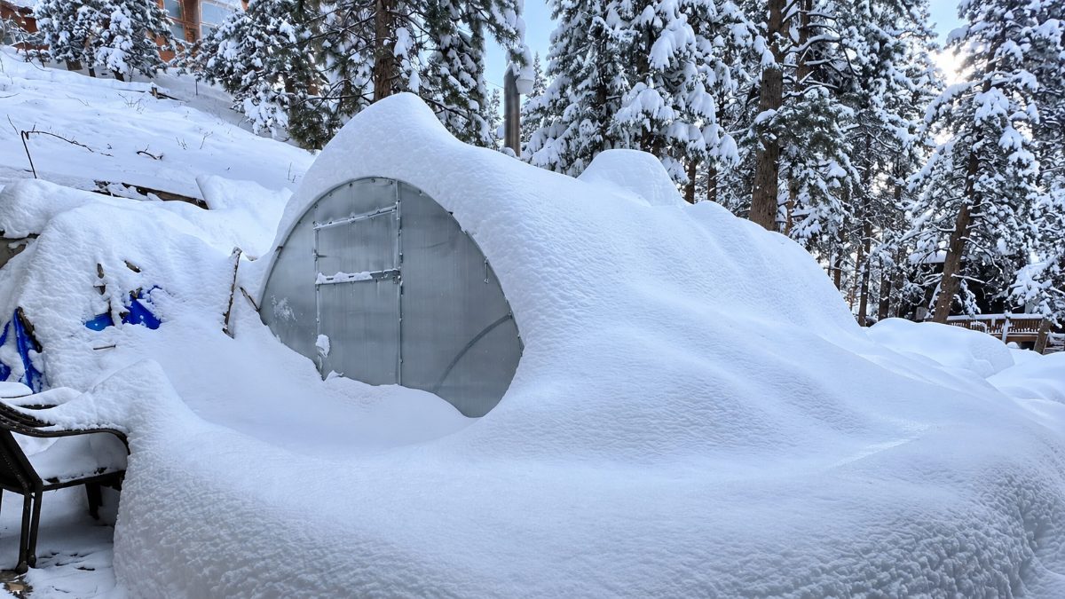 Greenhouse buried under deep snow