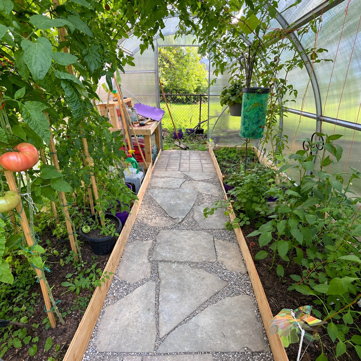 Inside a greenhouse: beds on both sides with a stone walkway