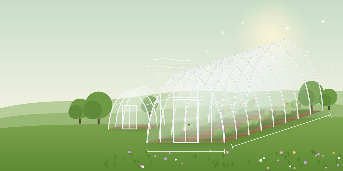 Illustration of a Planta greenhouse with size lines, snow and wind — things to check before you buy