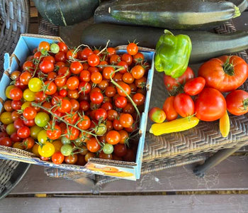 Fresh Tomatoes Into Winter in Michigan’s Upper Peninsula