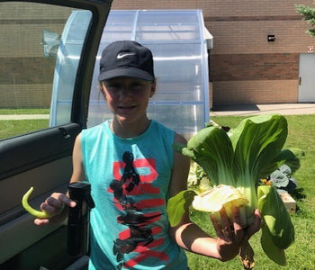 A School Year in the Greenhouse