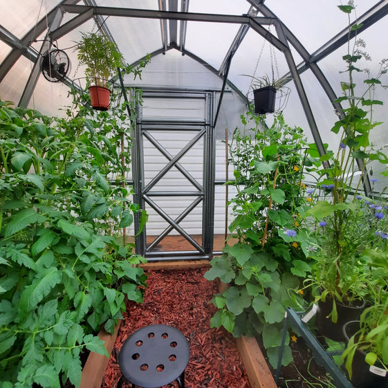 Sungrow Compact