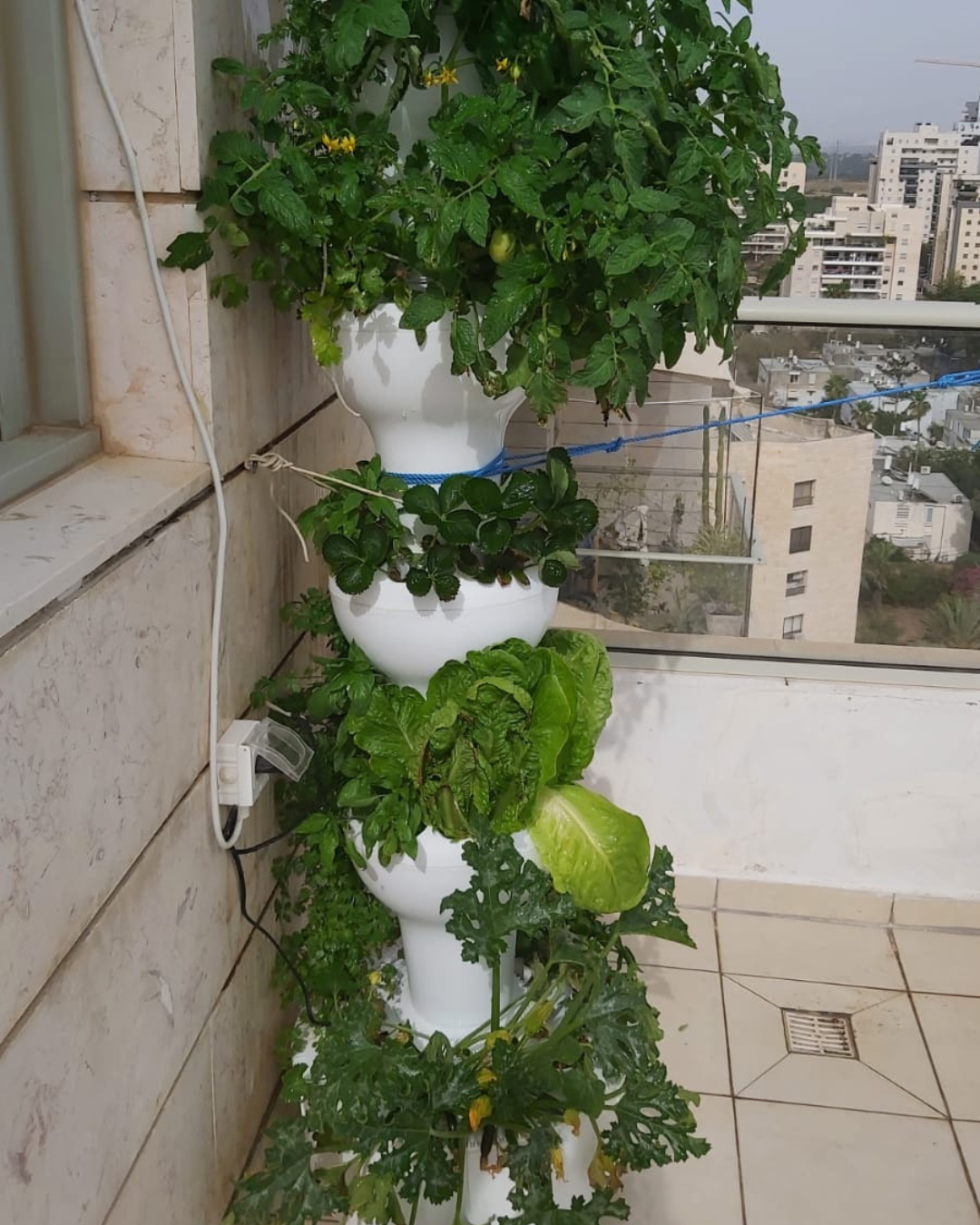 Airponic Fruit - Hydroponic Tower Garden System