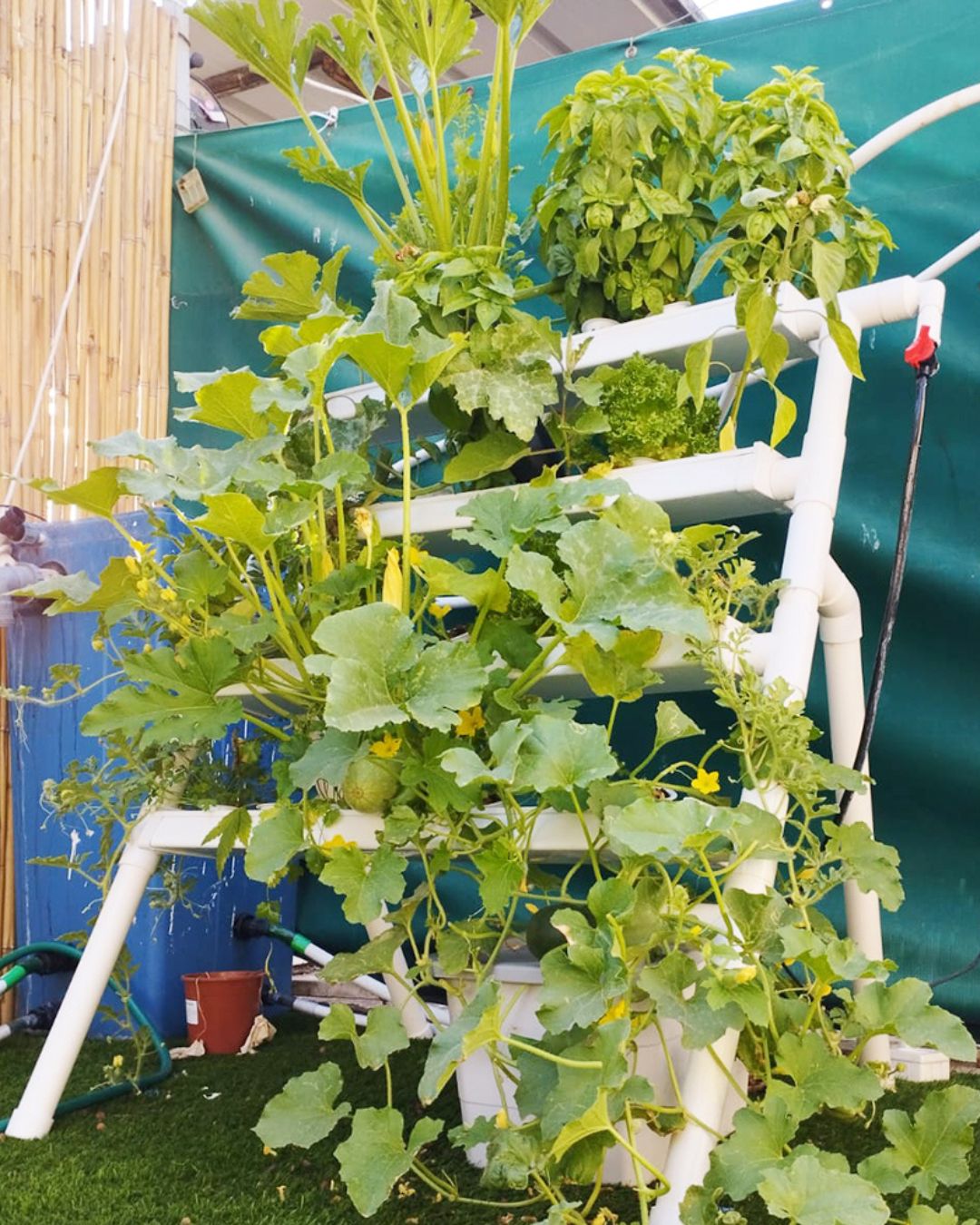 TOYANDONA 30ensembles Kit Accessoires De Jardin Hydroponique Intérieur Avec Couvercles Transparent Et Paniers Pour Germination Ensemble