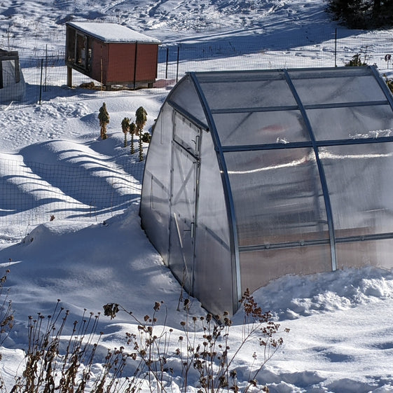 Sungrow Compact