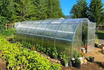 Best Greenhouse for Wind - Growing Spaces Greenhouses